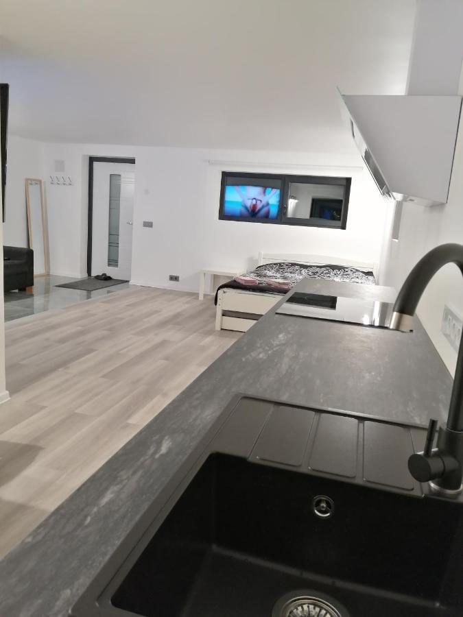 Luxury Apartment Private House And Parking Netflix Tartu Dış mekan fotoğraf